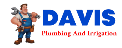 Trusted plumber in CARMAN